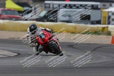 media/Jan-15-2023-SoCal Trackdays (Sun) [[c1237a034a]]/Turn 2 Set 1 (1145am)/